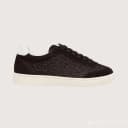 다크브라운